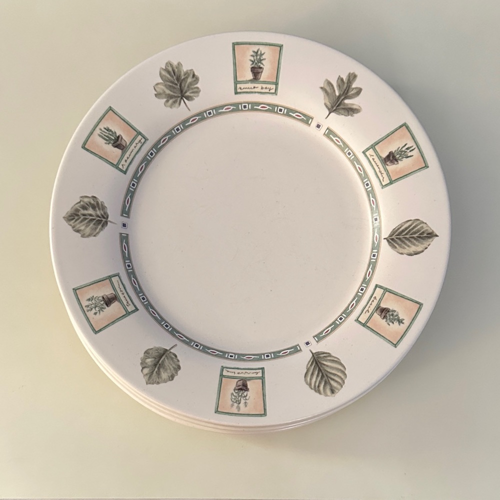 Pfaltzgraff Naturewood Dinner Plate set of 4